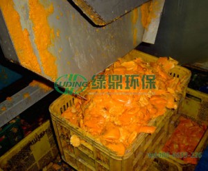 大型的橙子橙汁壓榨機(jī)是怎樣的？