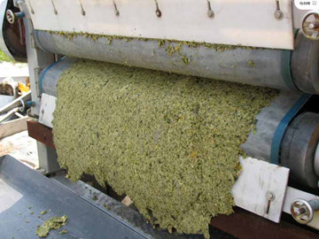 帶式壓濾機處理桓臺工廠污水處理